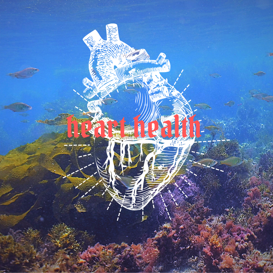 HEART HEALTH AND DIVING
