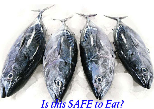 Is This Fish Safe To Eat?