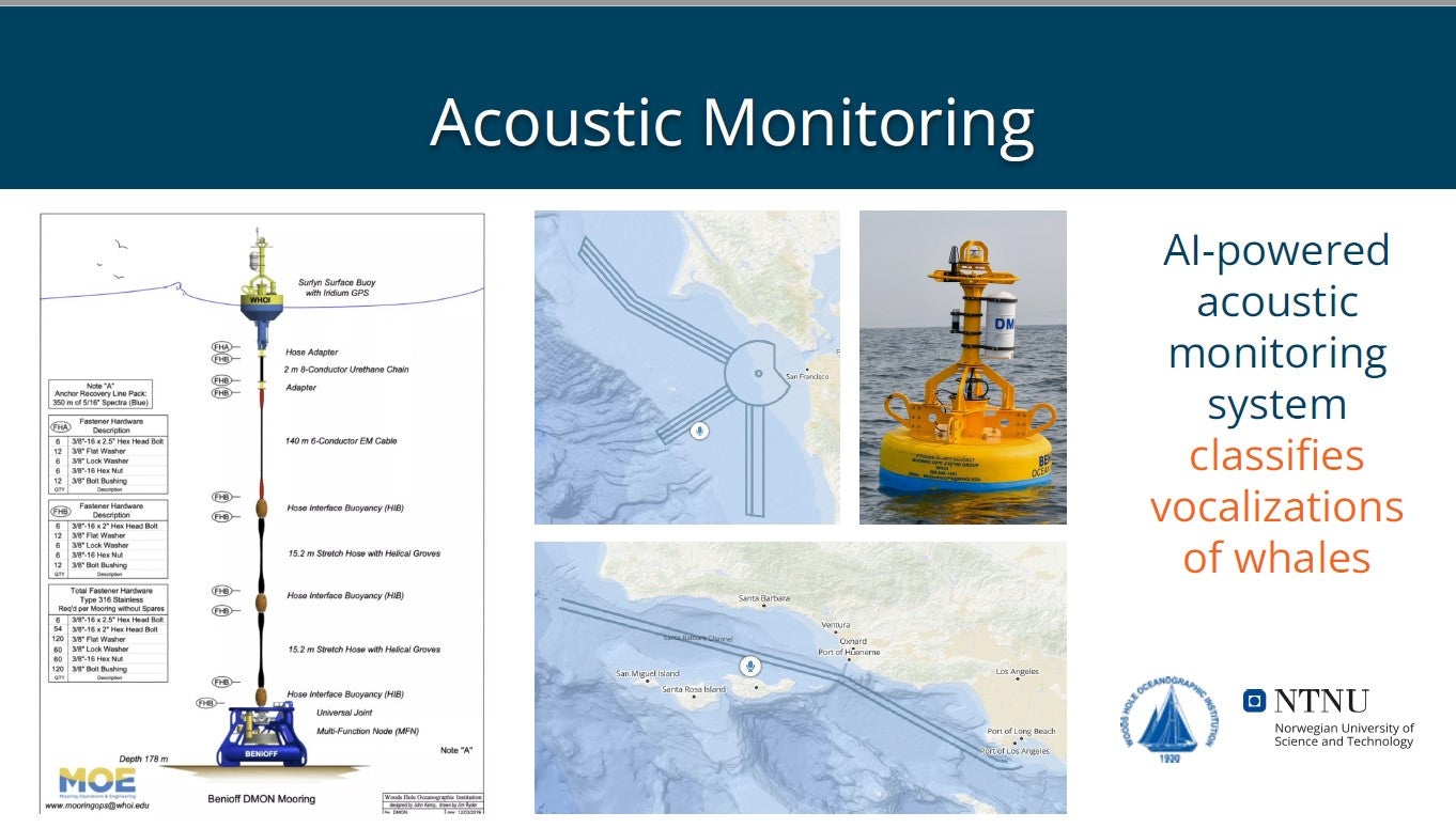 Whale Safe: How Acoustic Detection, Whale Modeling and Sighting Data is Used to Protect Endangered Whales