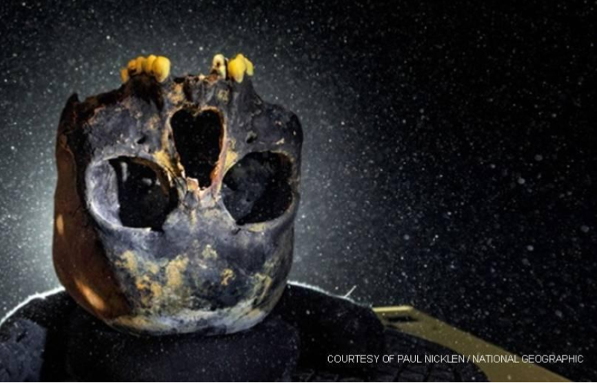Pro Scuba Training Lets You See the Real Picture