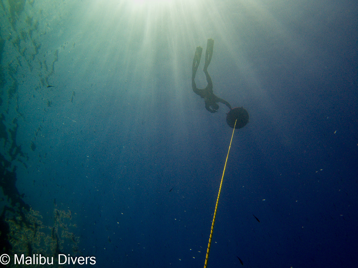 Freediving Advanced Program