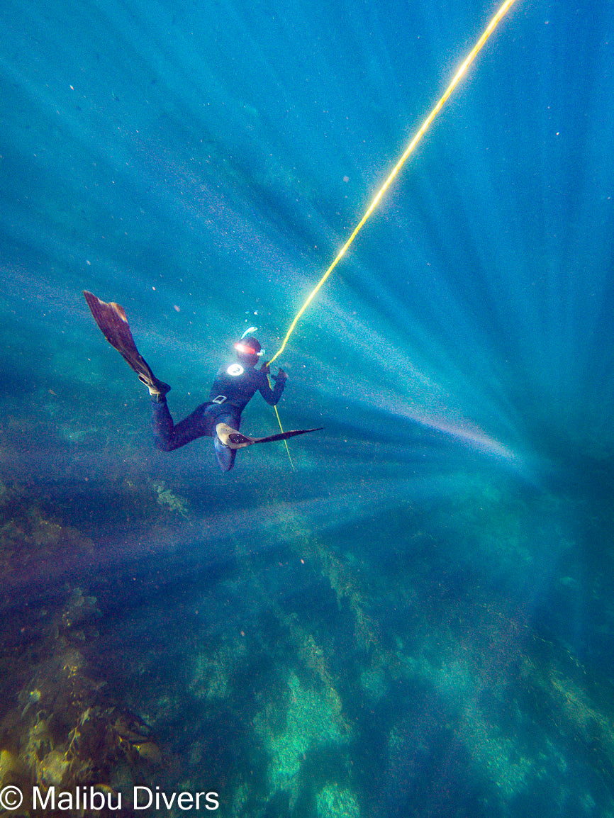 Freediving Advanced Program