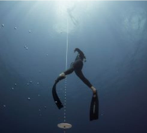 eLearning Diver Training