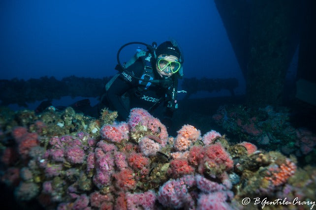 Oil Rig Diving