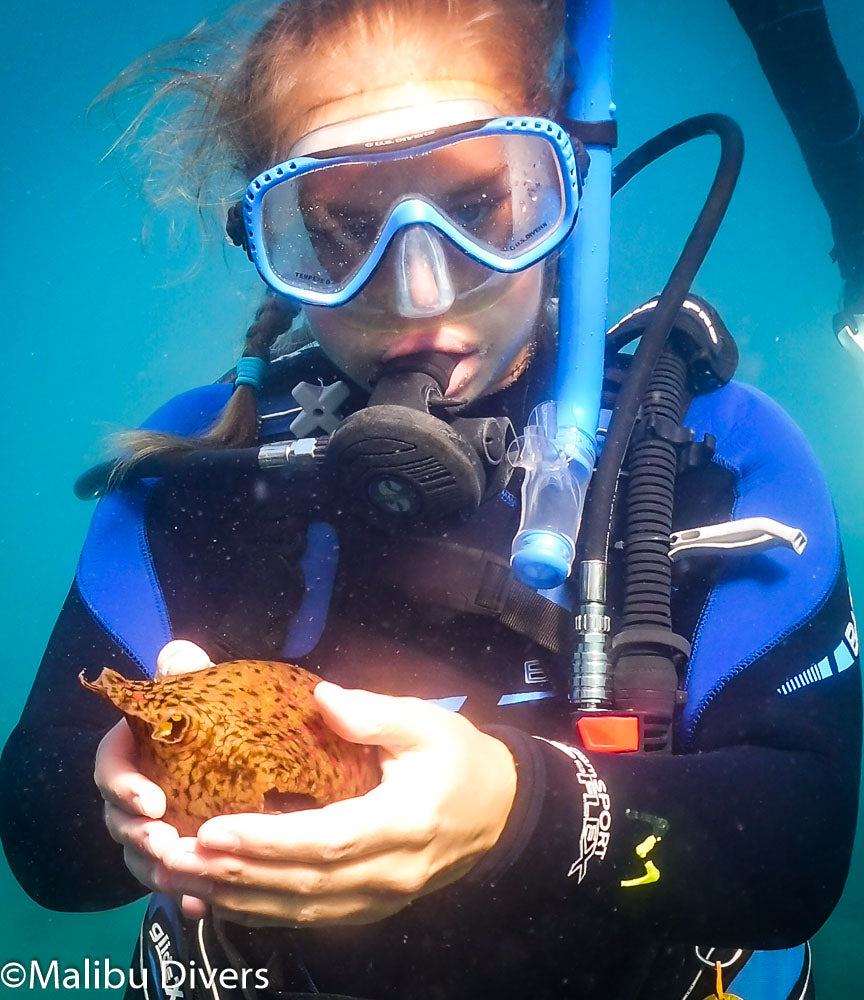 Girl Scout SCUBA at Camp Emerald Bay