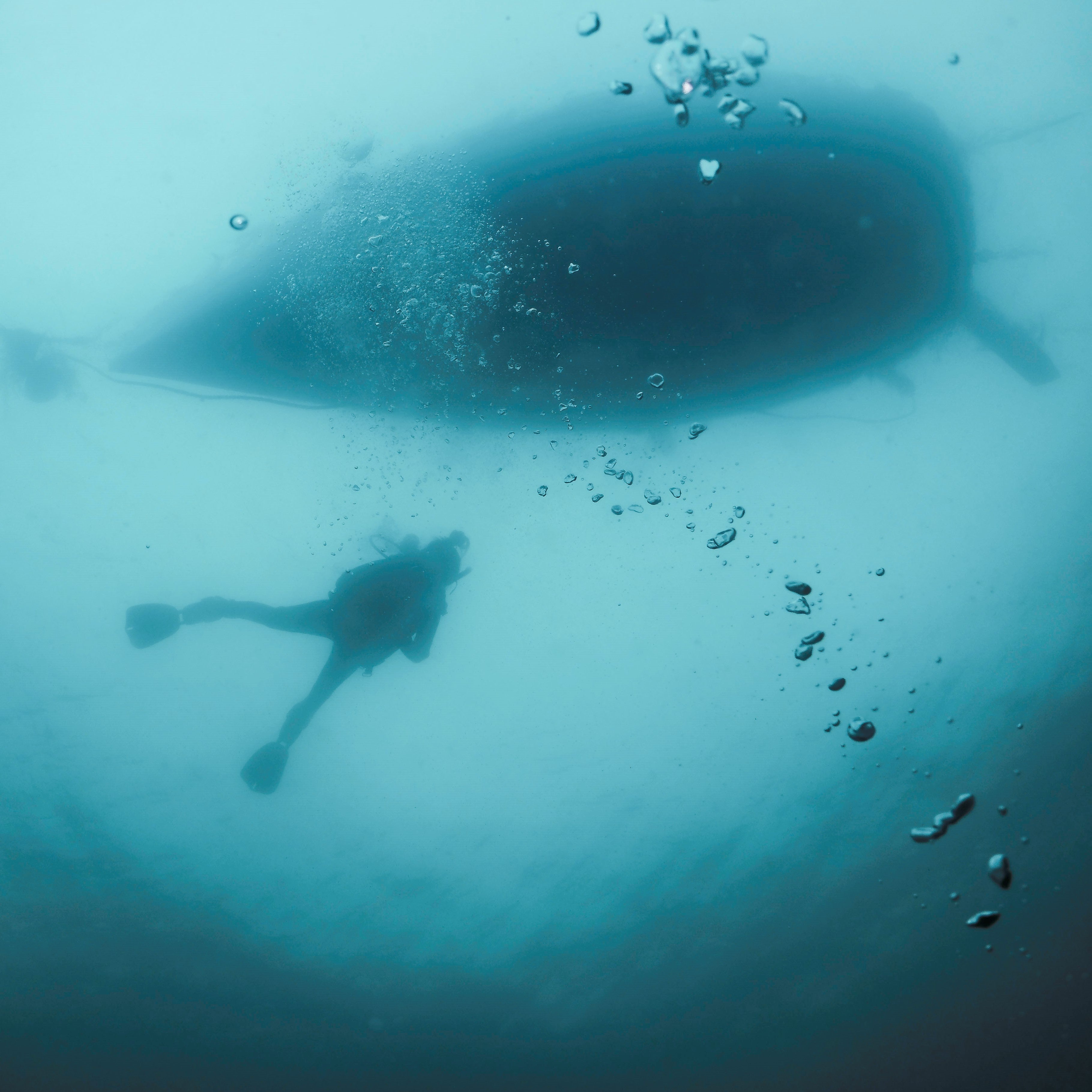 BSA Deep Diver Specialty