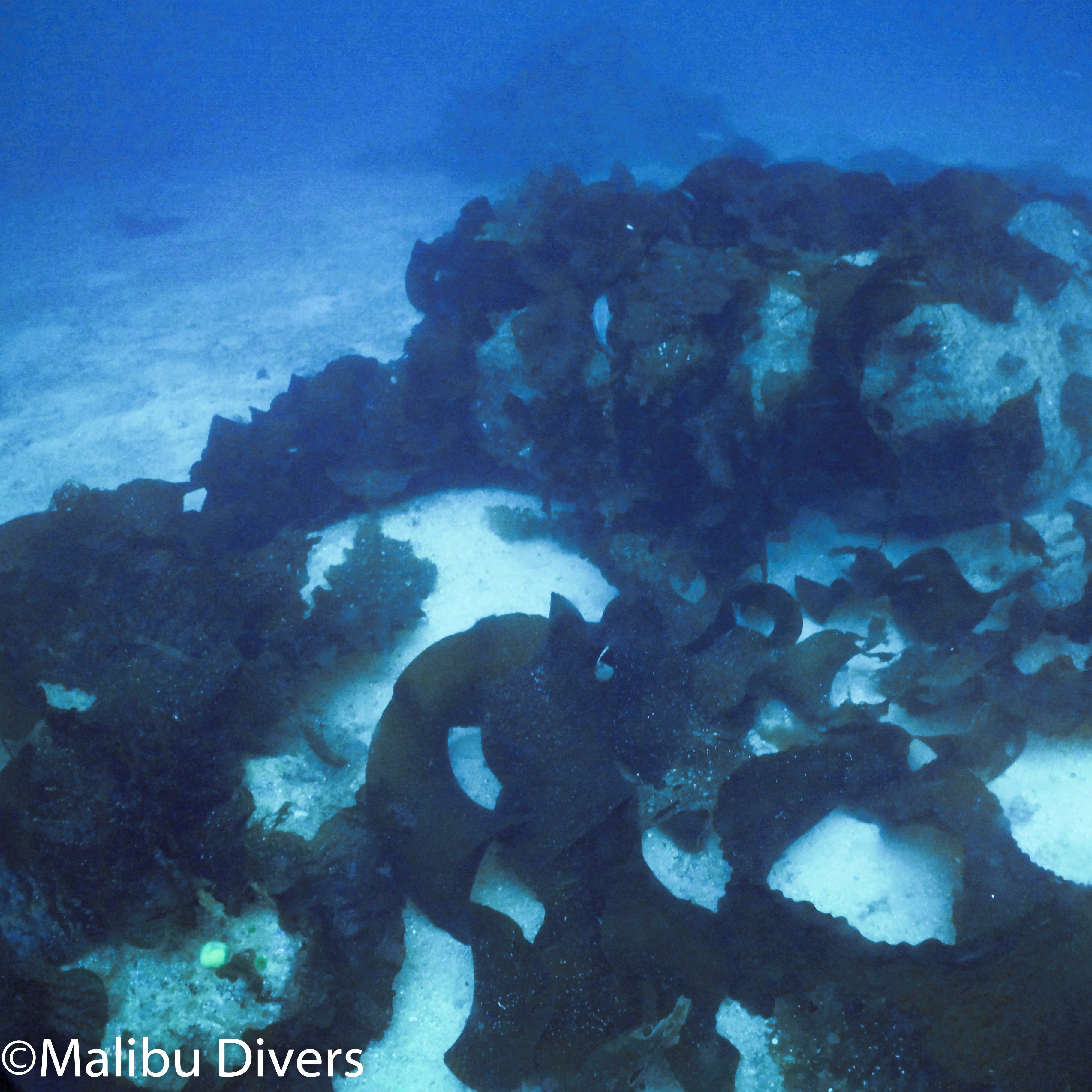 BSA Deep Diver Specialty