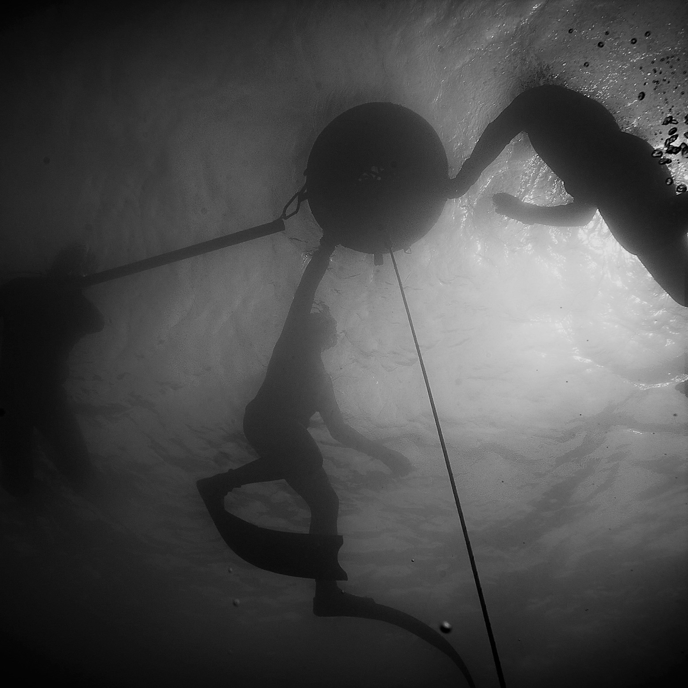 Discover Snorkeling Program (NIGHT Time Only)