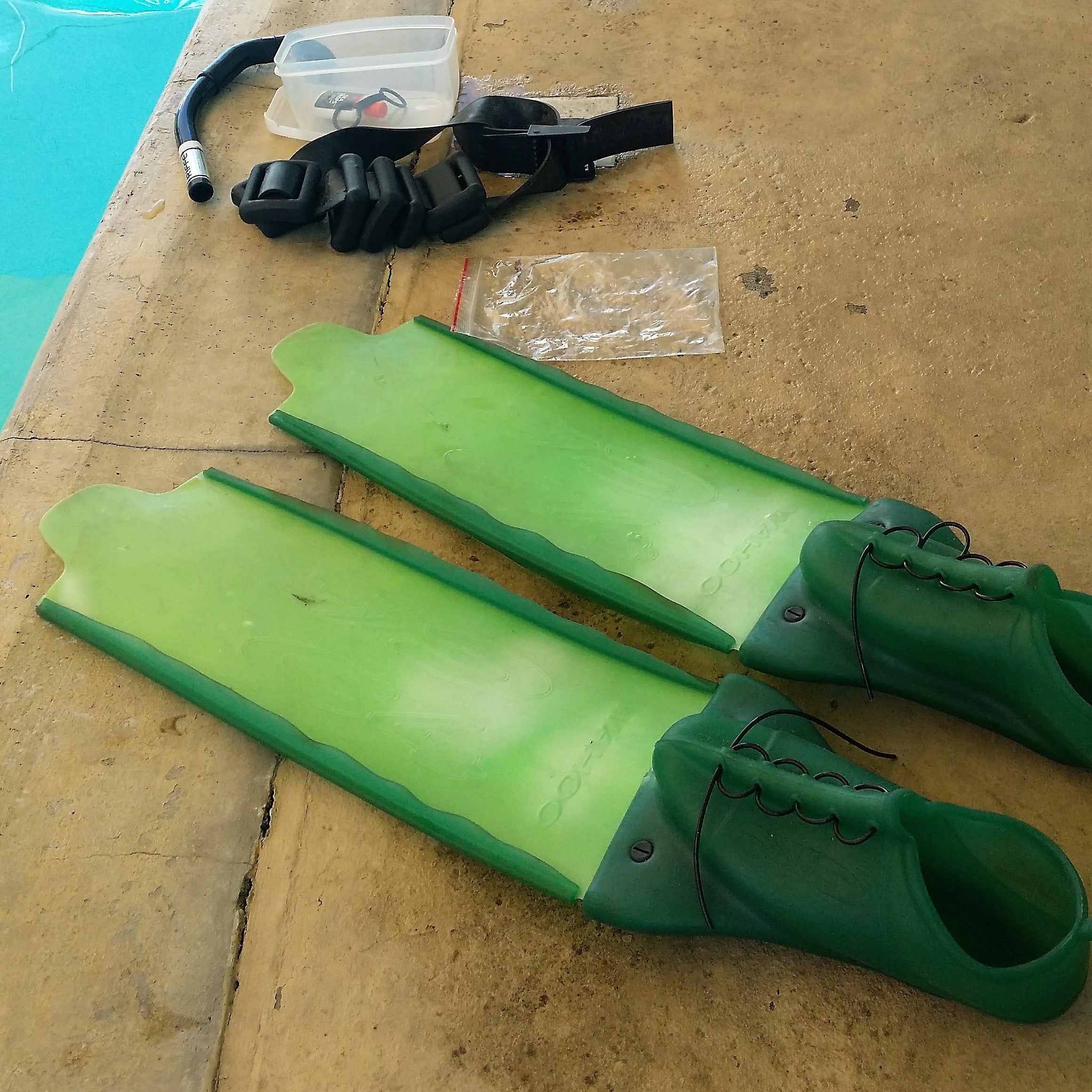 Freediving Program