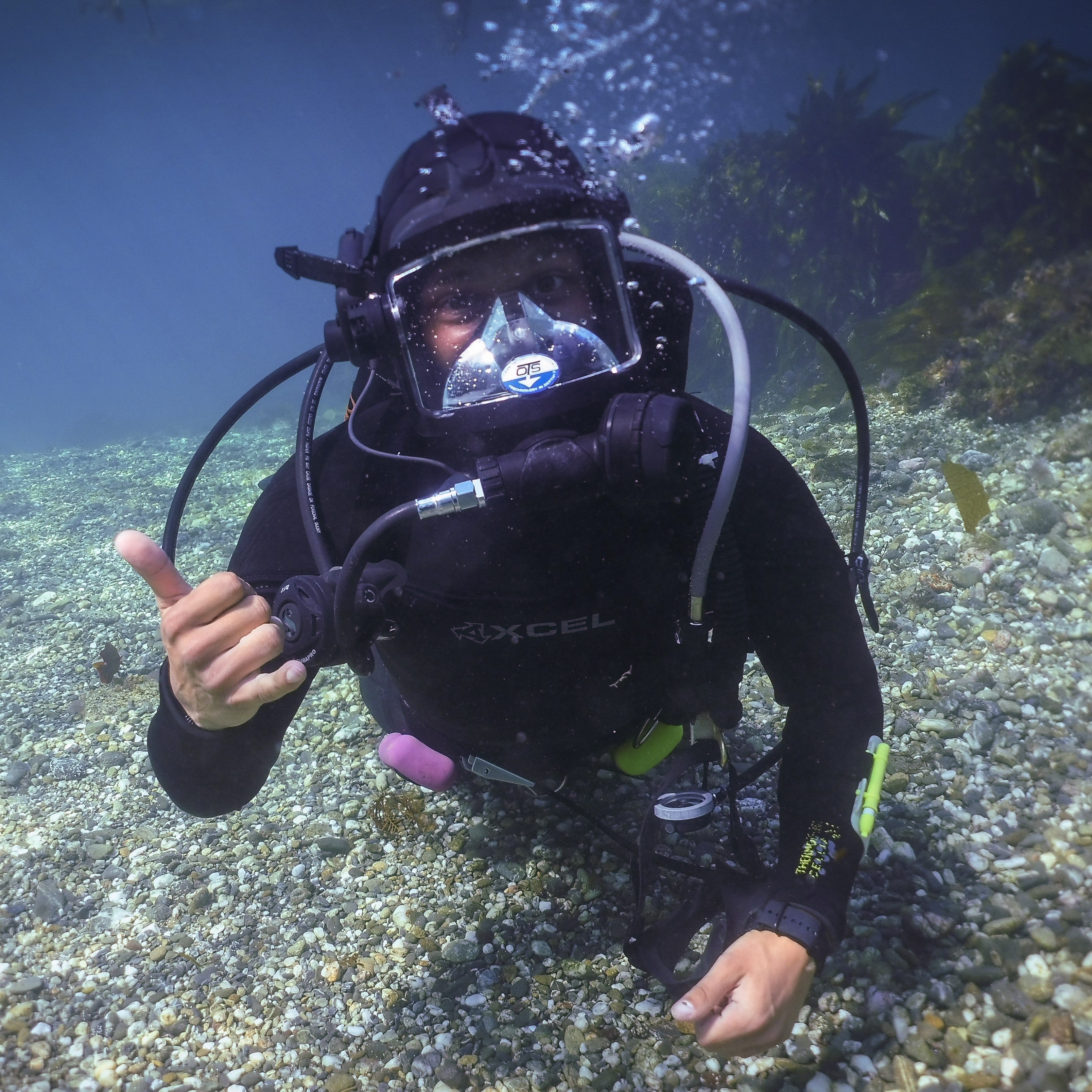 BSA Full Face Mask Diver Specialty