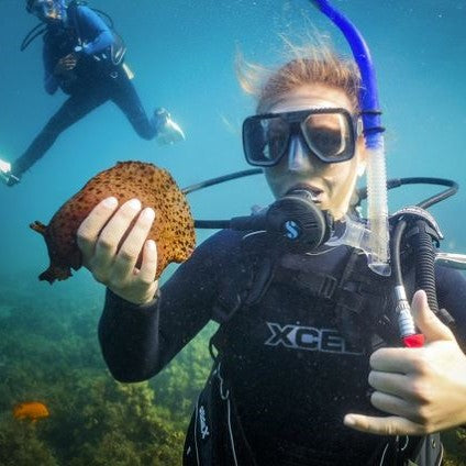 Girl Scouts SCUBA Diving (Ocean at Camp Emerald Bay)
