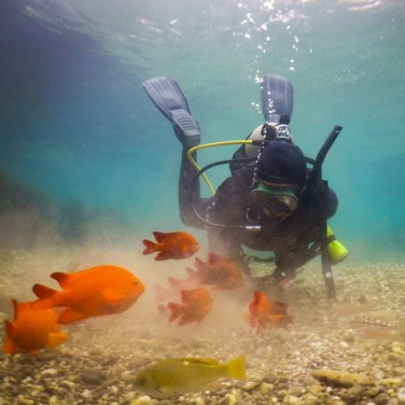 Girl Scout Open Water Catalina Emerald Bay - Full Package