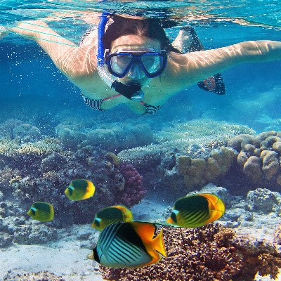 Discover Snorkeling Program (Daytime Only)