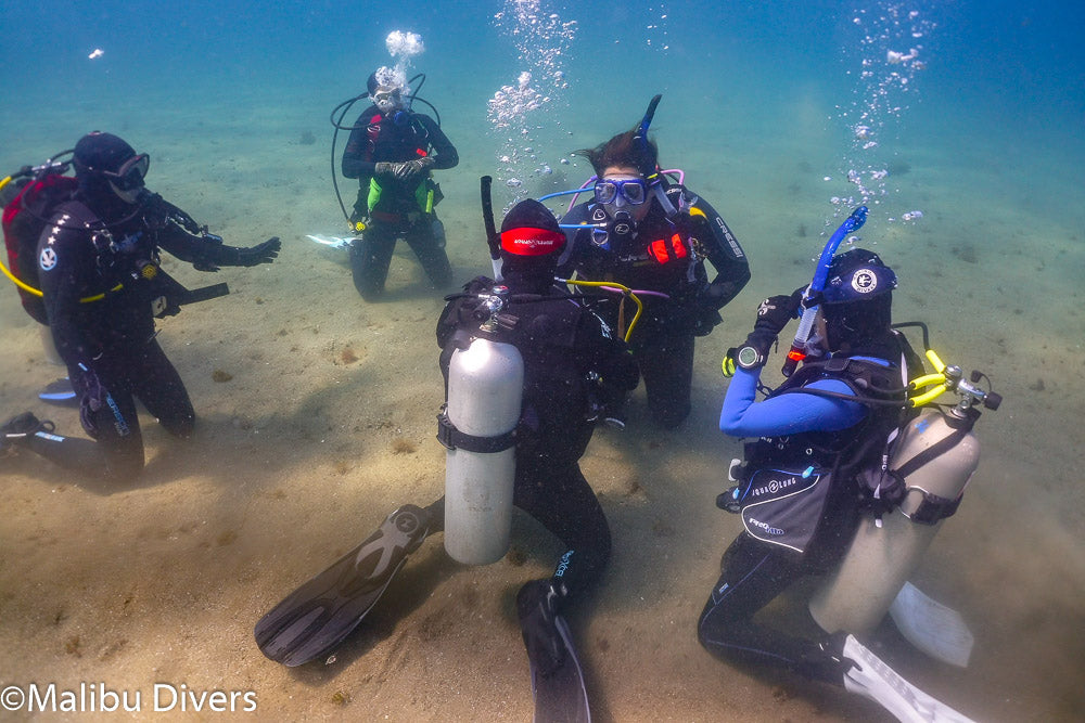 Specialty Instructor & Master SCUBA Diver Trainer