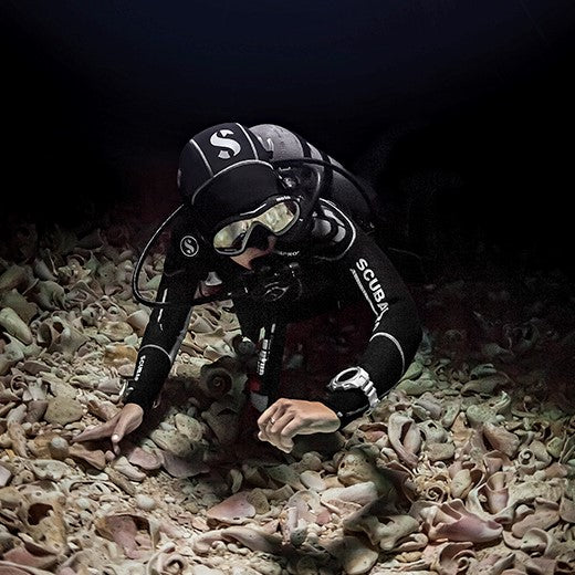 BSA Underwater Navigator Specialty