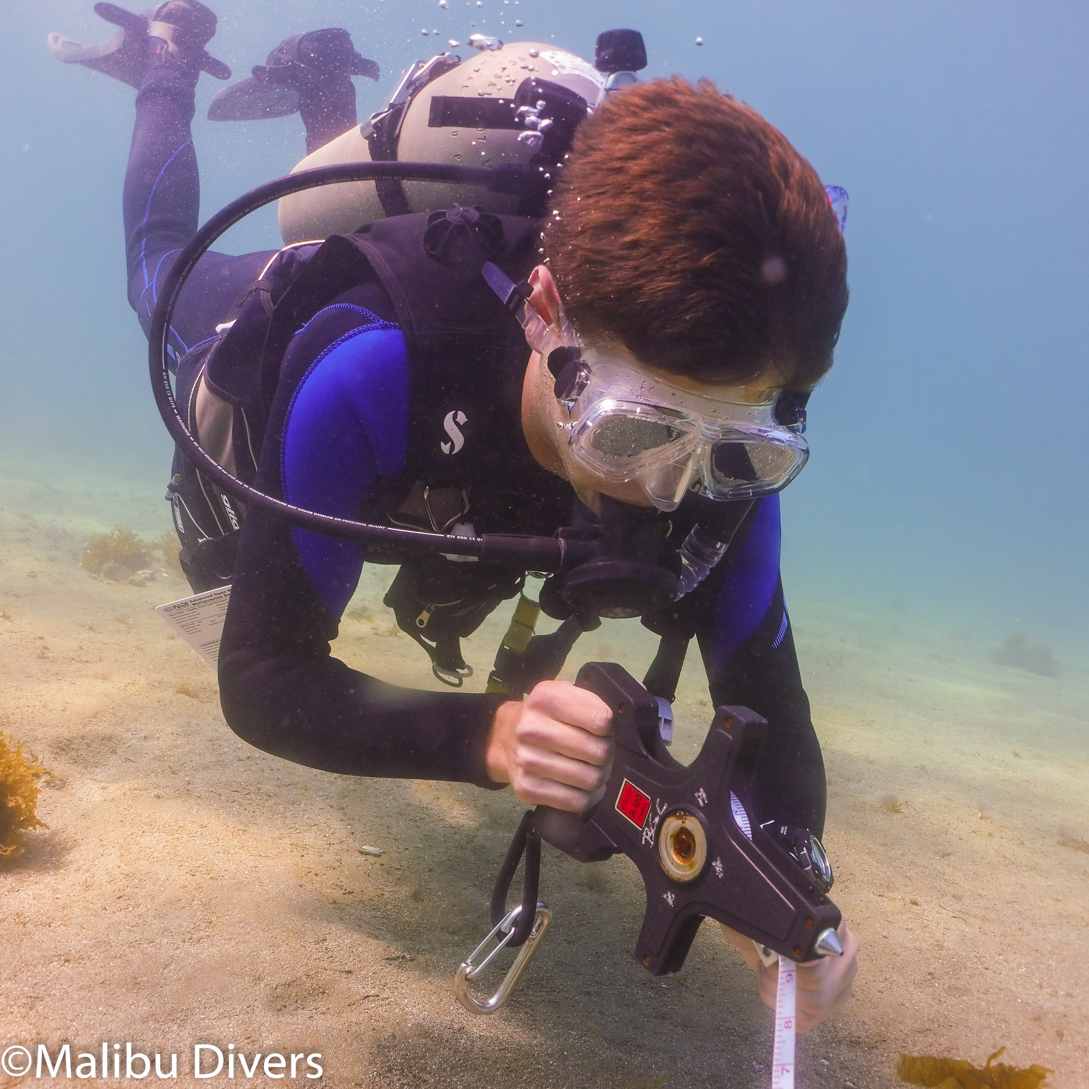 BSA Underwater Navigator Specialty