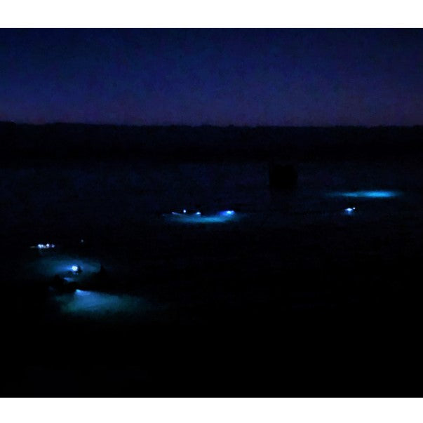 BSA Night Diver Specialty