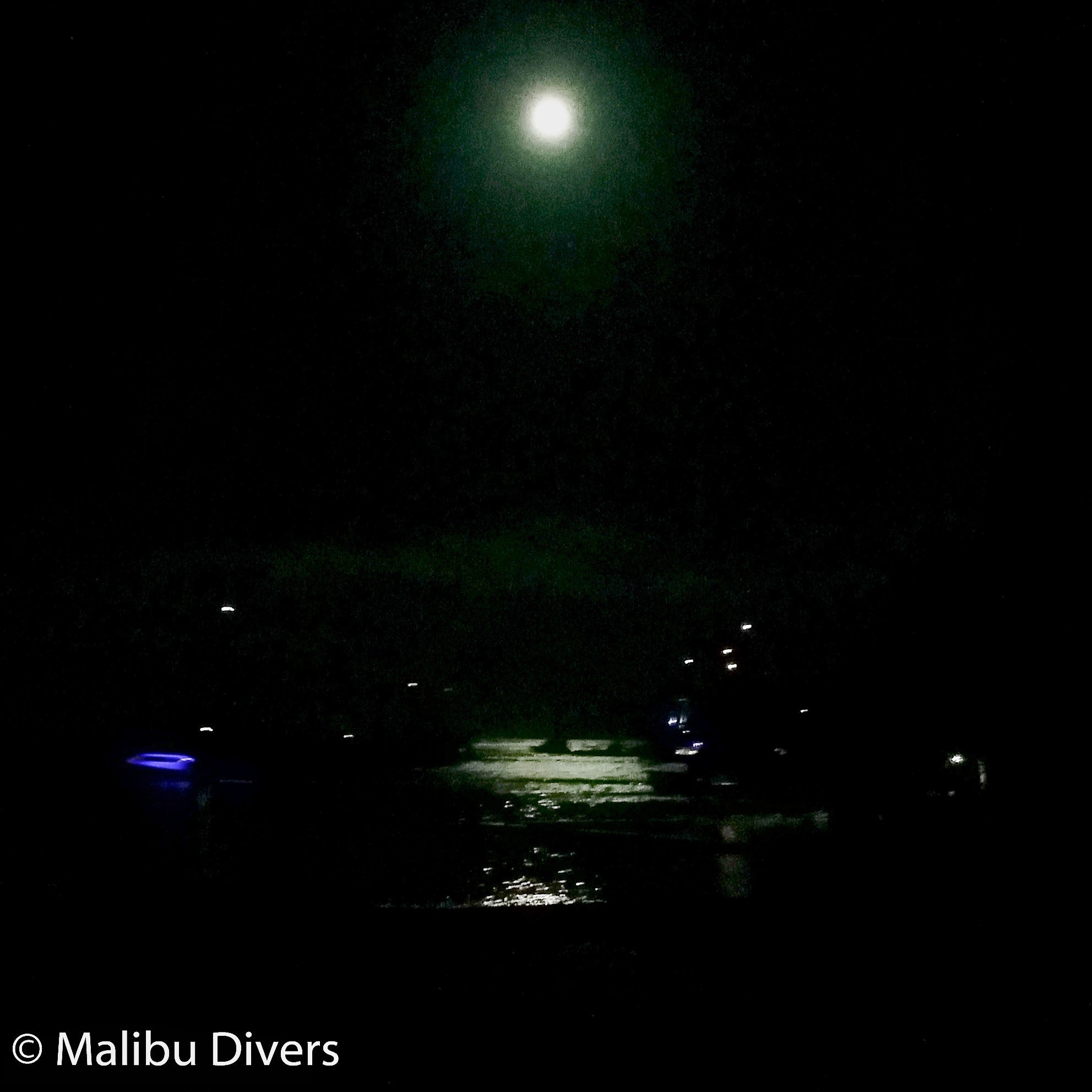 BSA Night Diver Specialty