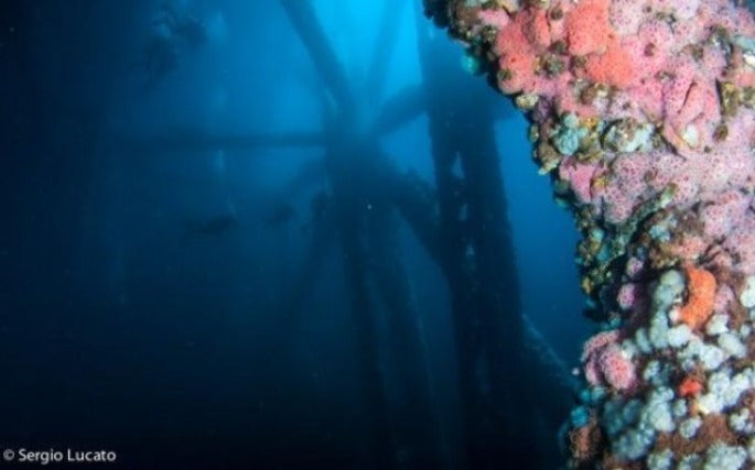 Oil Rig Diving