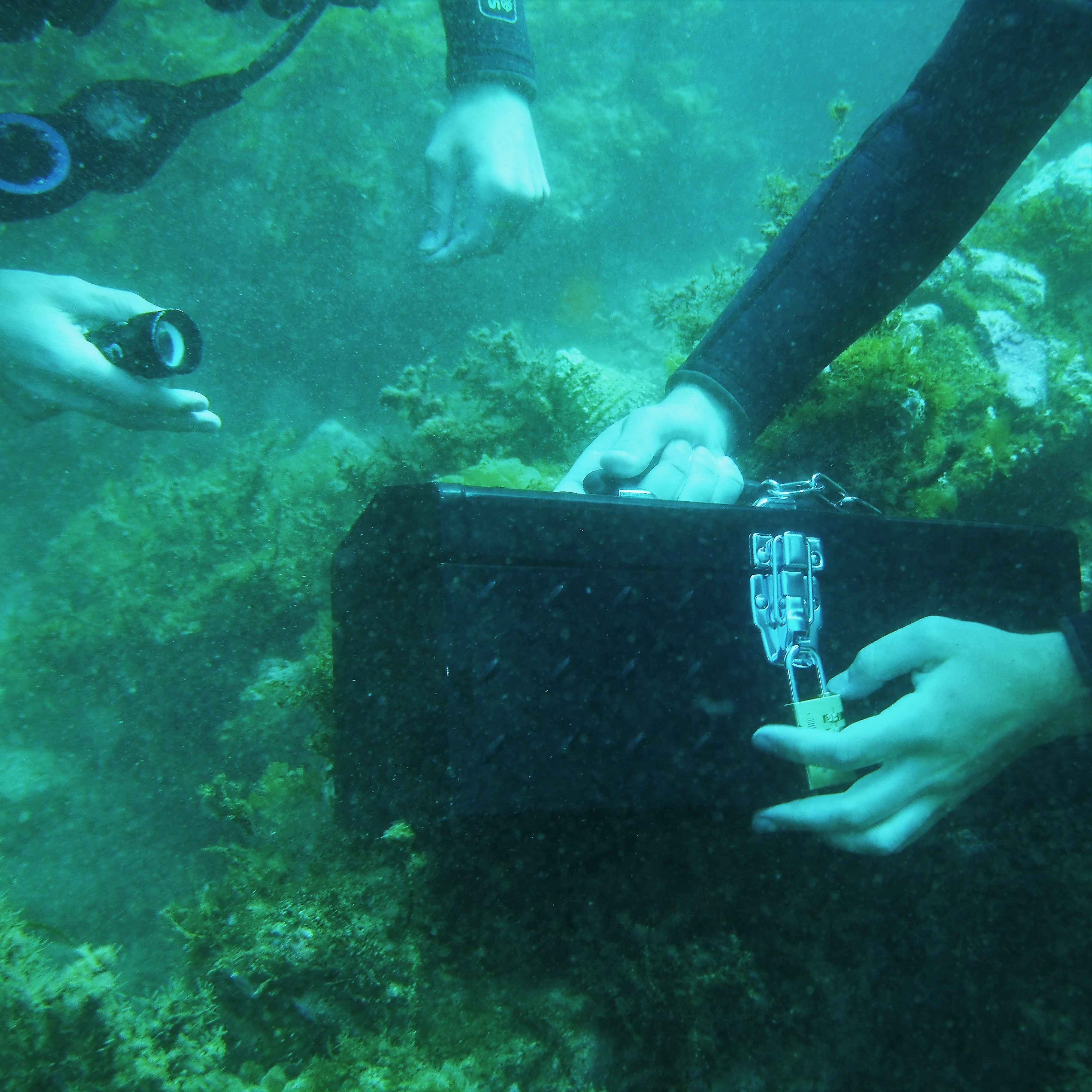 BSA Pirate Diver Specialty