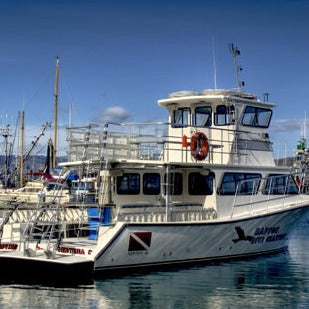 Local Boats Dives