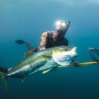 Riffe Spearguns