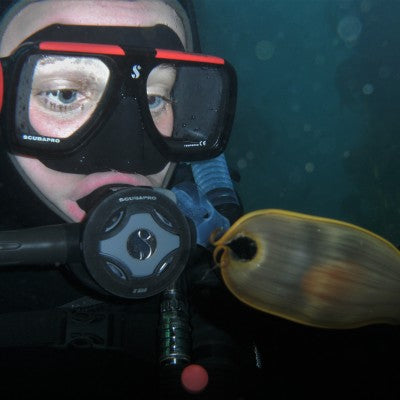 BSA Aware Shark Diver Specialty