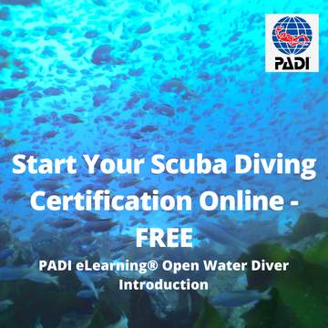 eLearning Diver Training