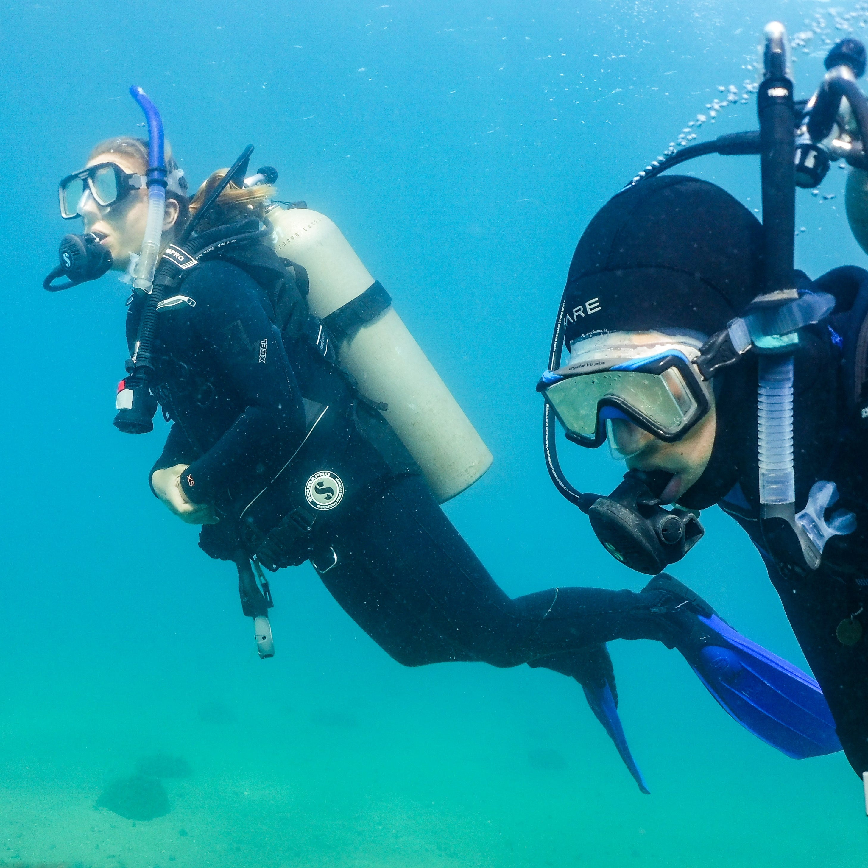 Discover Local Diving, DLD - Checkout Dive (Ocean)