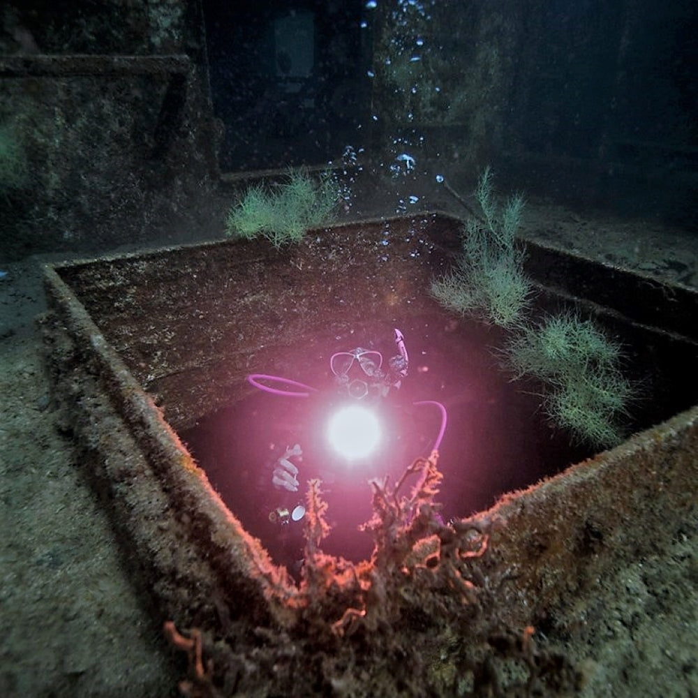 Wreck Diving