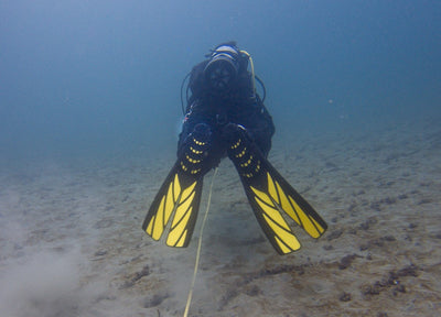 From Pandemics to Climate Change: The Growing Importance of Scuba Diving in Scientific Research