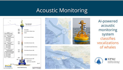Whale Safe: How Acoustic Detection, Whale Modeling and Sighting Data is Used to Protect Endangered Whales