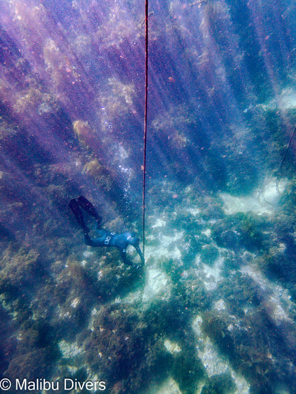 Freediving Advanced Program