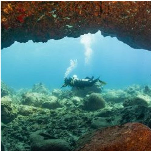 eLearning Diver Training