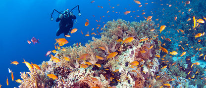 Wakatobi Adventure Travel