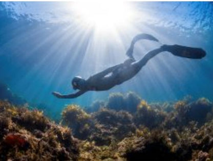 eLearning Diver Training
