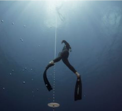 eLearning Diver Training