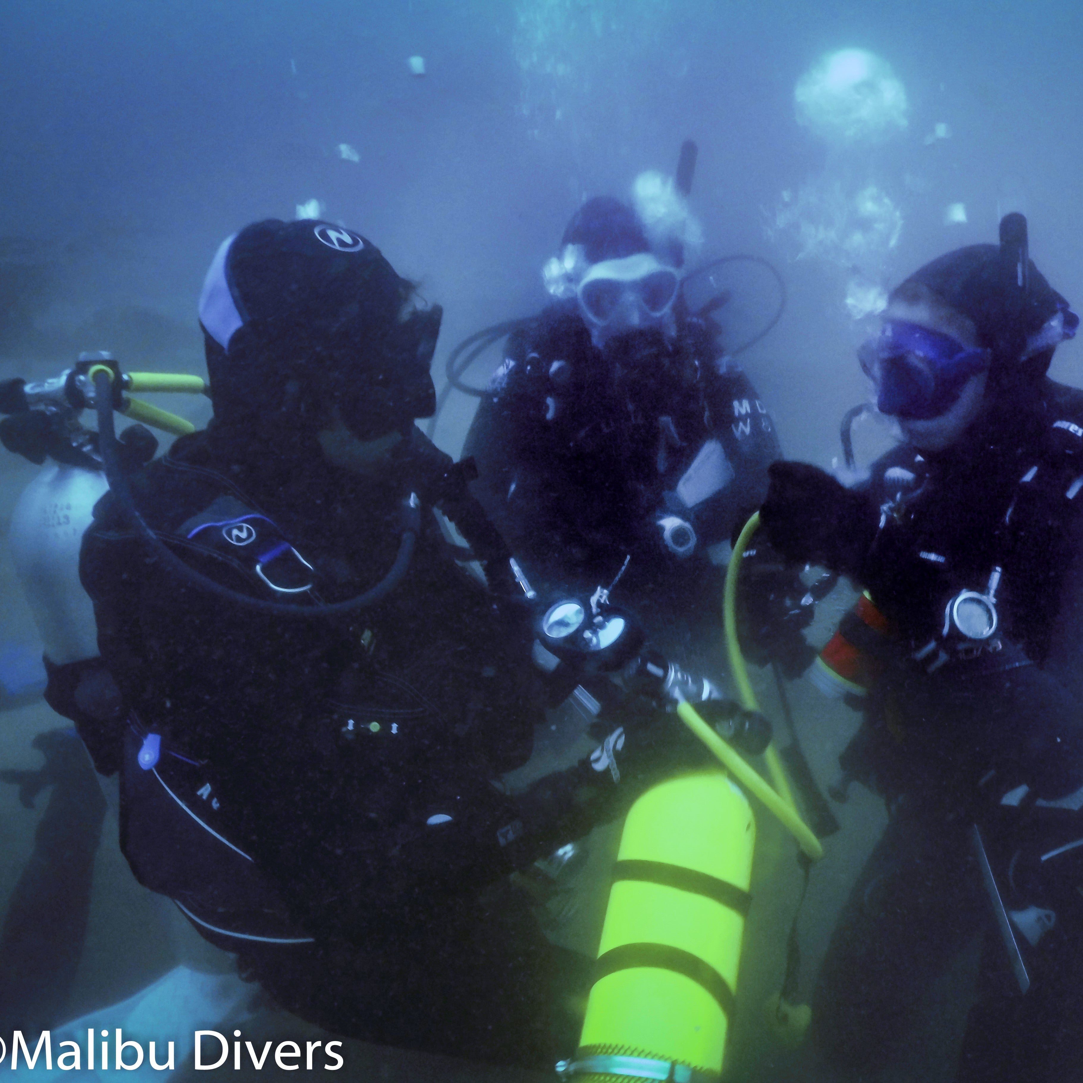 BSA Deep Diver Specialty