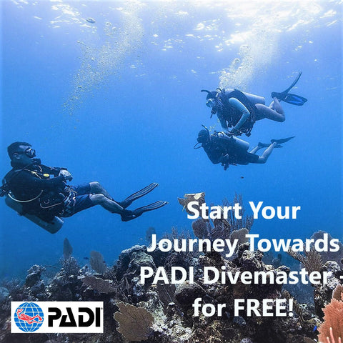 Try PADI Divemaster eLearning for Free