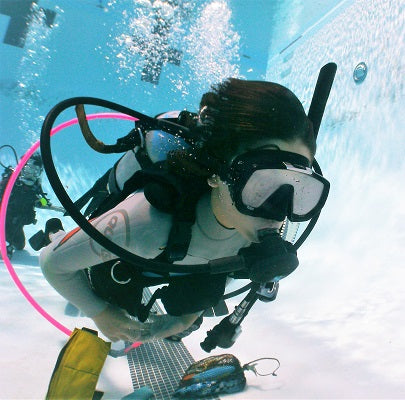 Try SCUBA Diving - Discover Scuba Diving (Pool)