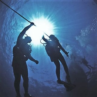 Deep Diver Specialty