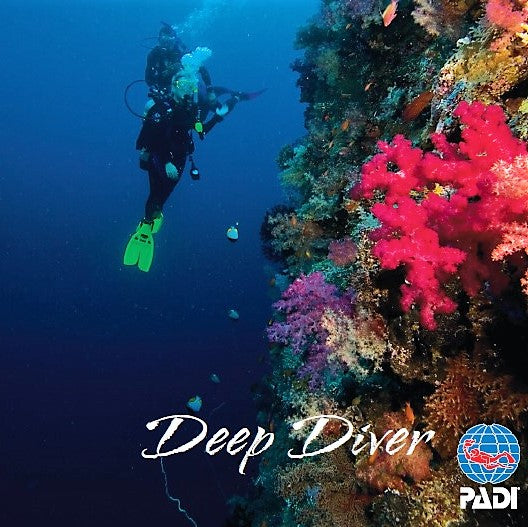 Deep Diver eLearning