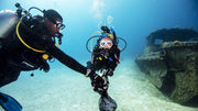 Dive Against Debris Diver eLearning