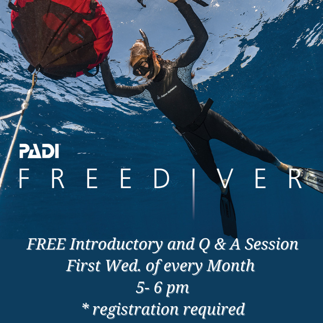 FREE Diver Online Webinar – Malibudivers