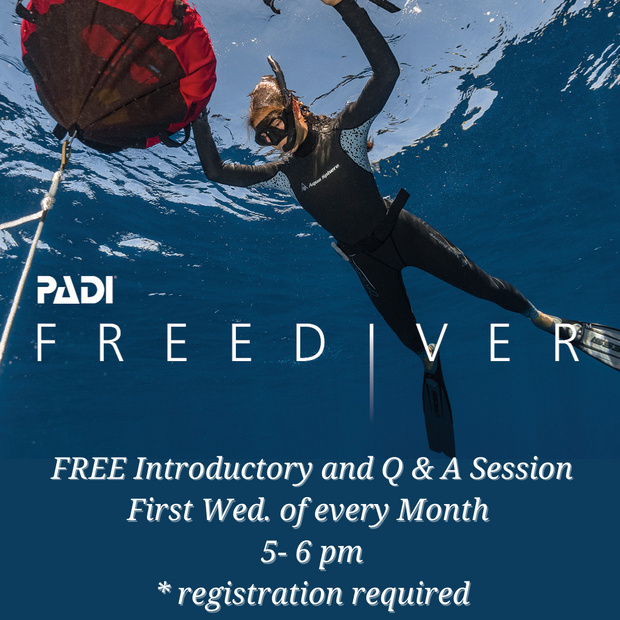 FREE Diver Online Webinar