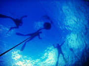 Freediving Program