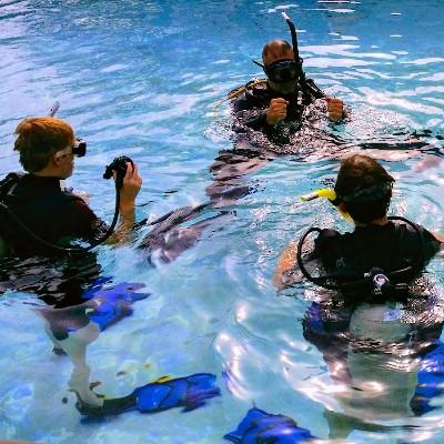 Seal Team Program (Pool)