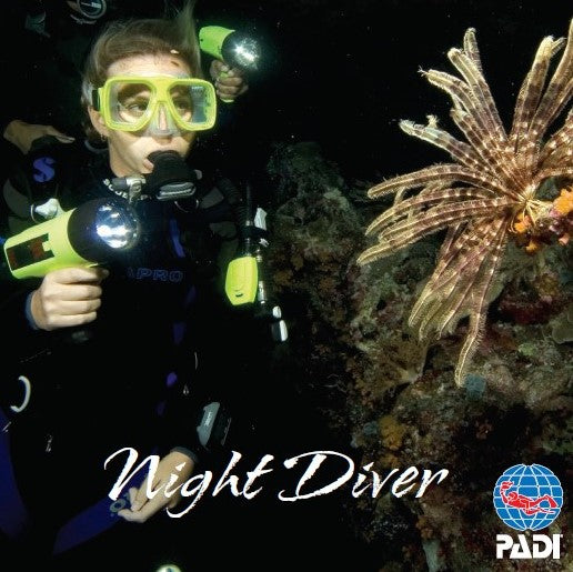Night Diver eLearning