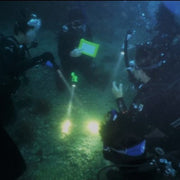 Discover Local Diving, DLD - Checkout Dive (Ocean)
