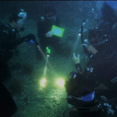 BSA Night Diver Specialty